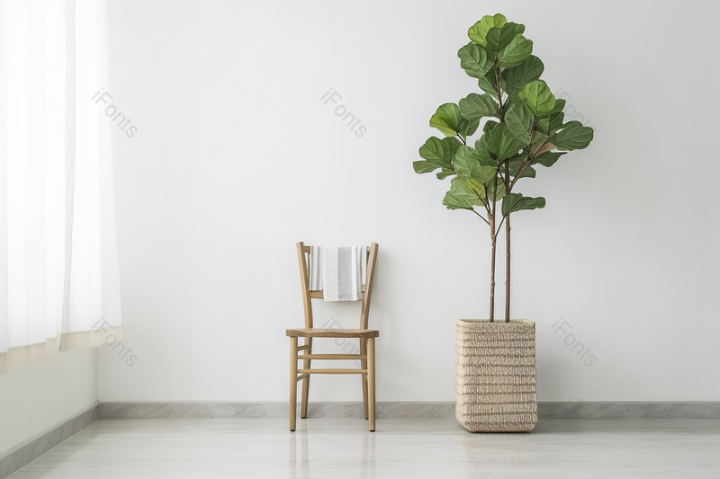 北欧家居现代简约风白色窗帘和绿植椅子家具,高清,摄影图,摄影图片,图片大全,摄影图免费下载